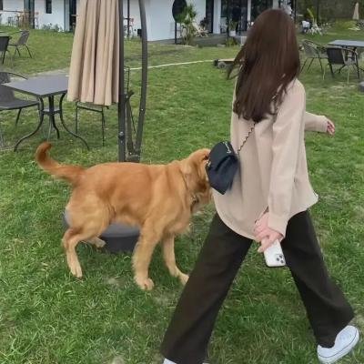 红伶歌女