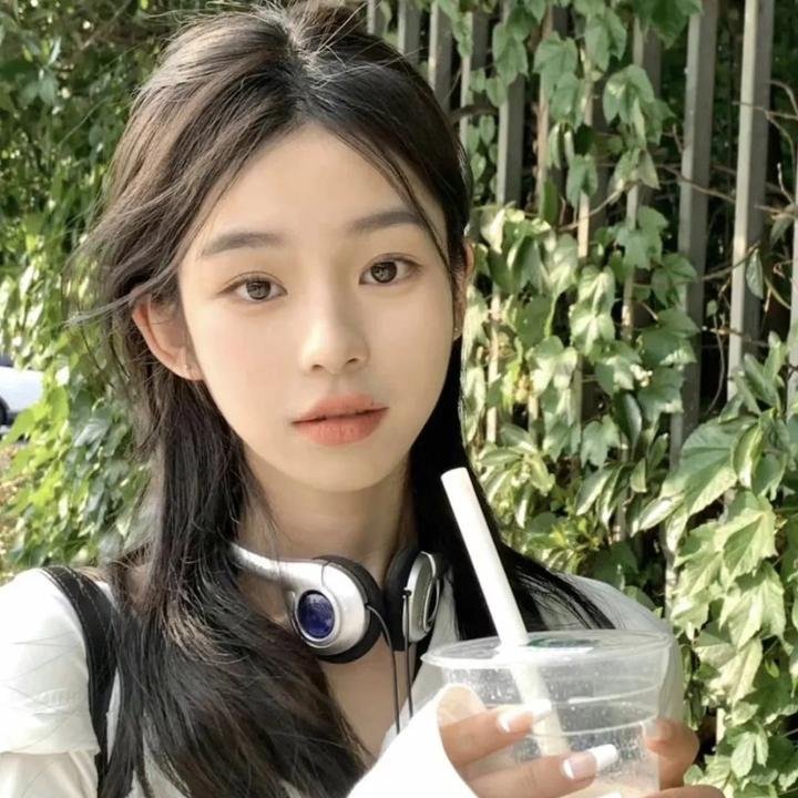 狗岛的宝藏